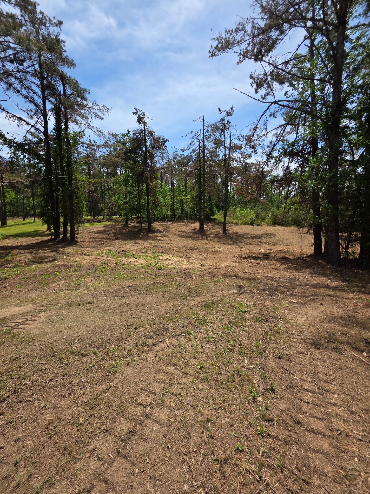 Cleared wooded acreage