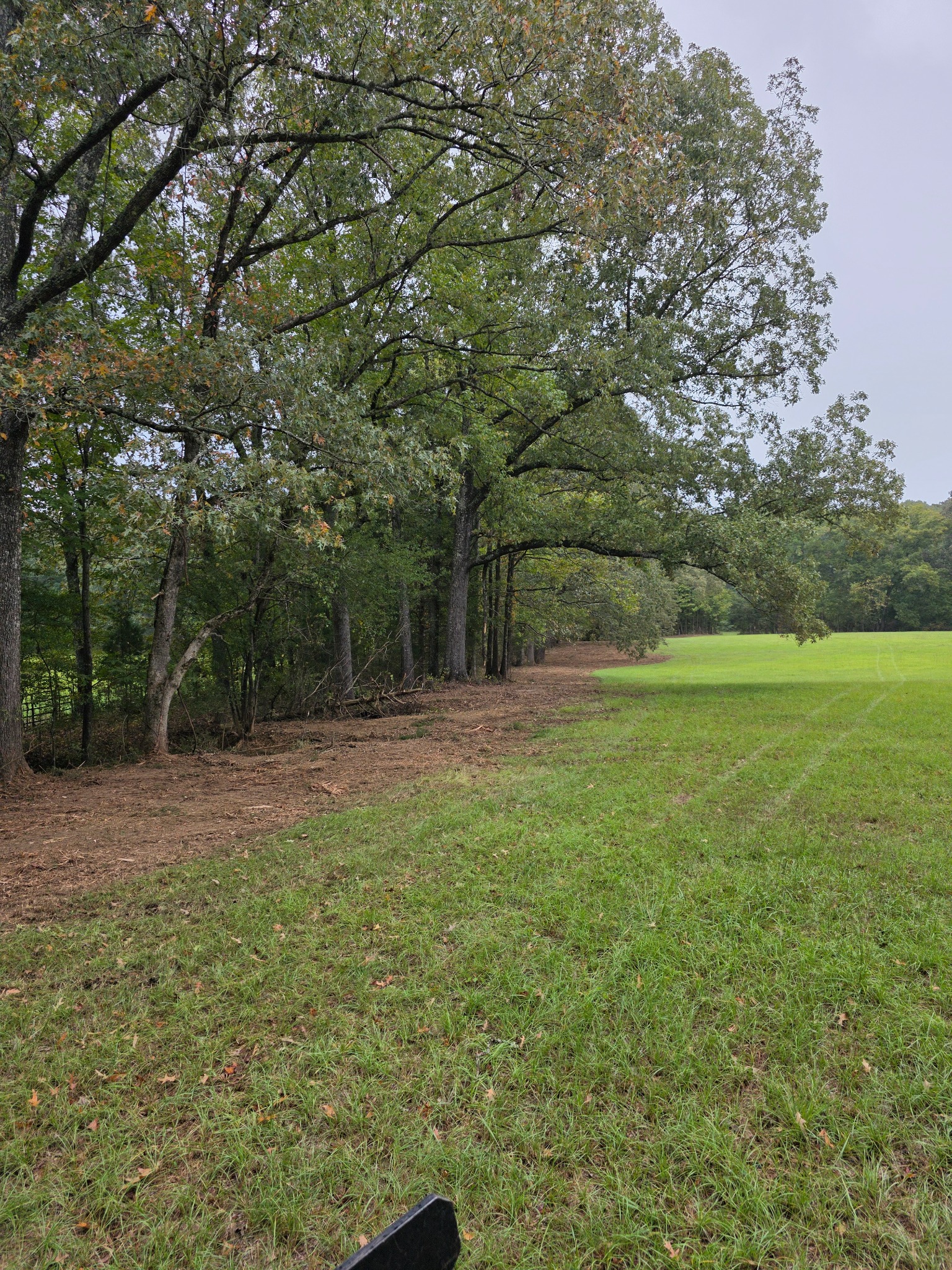 Cleared fence line beside a green field